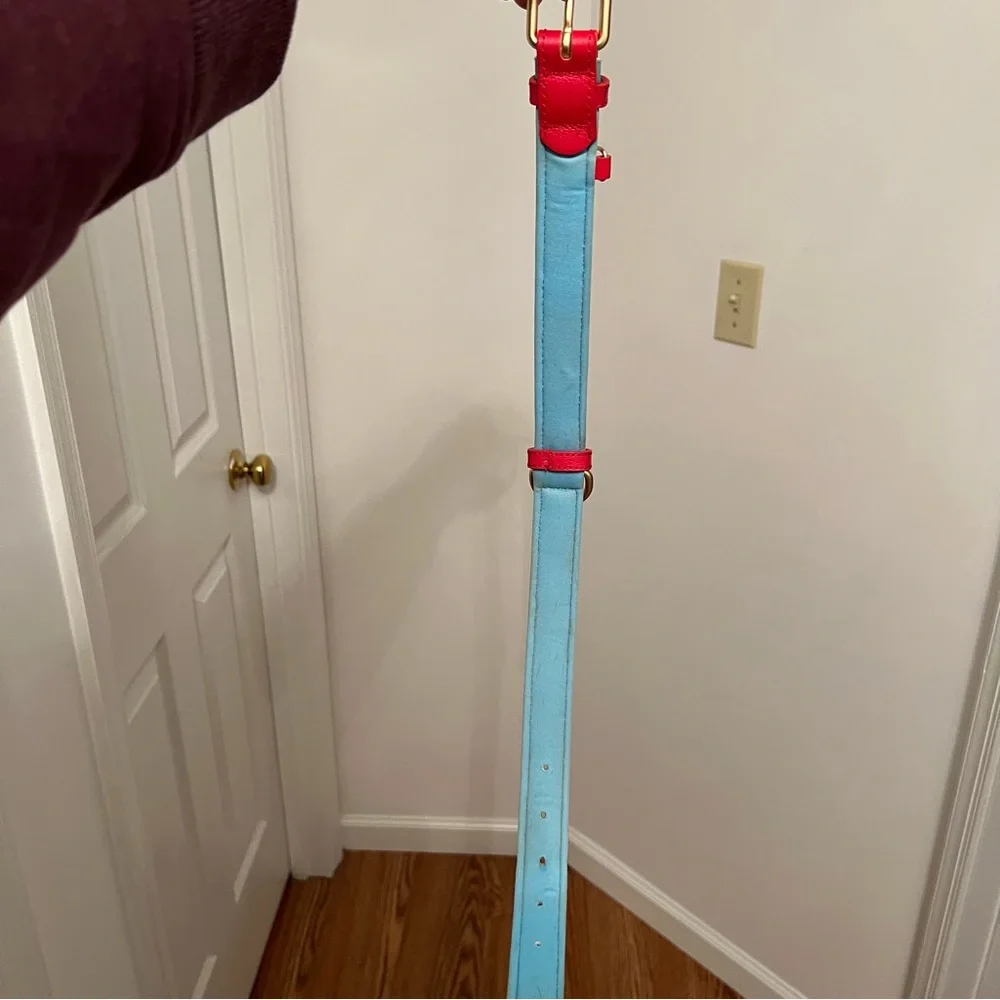 Bright Red Padded Dog Collar